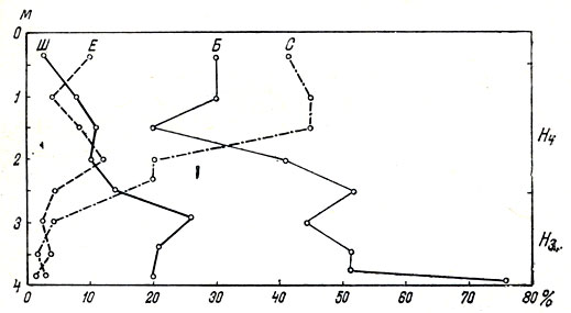 Рис. 6. Смена, в процессе биоценогенеза, широколиственных лесов на Дальнем Востоке сосновыми и кедровыми в среднем (Нsub3/sub) и позднем (Нsub4/sub) голоцене. Обозначения: Ш - широколиственные породы; С - сосны; Е - ели; Б - березы (по пыльцевой диаграмме: Нейштадт, 1957)