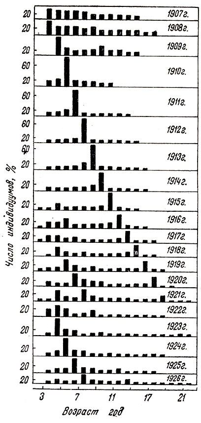 Рис. 10. Возрастная структура популяции сельди (Clapea harengus: Тимофеев-Ресовский, 1973)