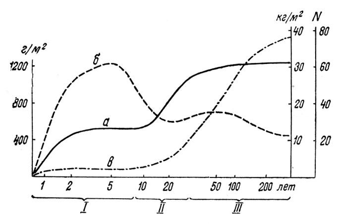 Рис. 30. Демутационная сукцессия дубово-соснового леса (штат Нью-Йорк): I - стадия травяная; II - кустарниковая; III - древесная; а - чистая продукция (шкала слева); б - разнообразие видов (их число на 0,3 га; шкала справа); в - биомасса (шкала справа: Уиттекер, 1980)