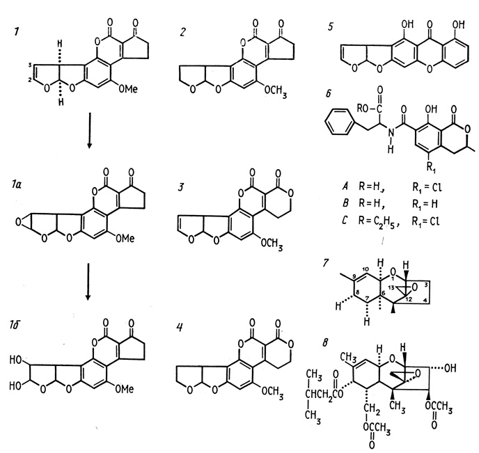 . 3.  Aspergillus flavus    [Heathcote. 1984;  .] 1 -  B1                .  (1)        ,      .  (16)    ,        .  ,        in vitro; 2 -  2; 3 -  G1; 4 -   G2; 5 -  (sterigmatin),     (austocystins),   Aspergillus ustus; 6 -  ,    (ochratoxins)  Penicillium  Aspergillus; 7 - 12,13- (12,13-epoxytricothecene),    (, Fusarium); 8 -  2
