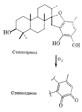 . 5.    (stypotriol),     Stypopodium zonale.   ,  ,       (,   ) -  (stypoldione)