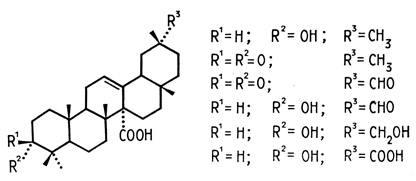 . 13.     Cordia alliodora - 3 -  -  - 12-- 27-  (3-a-hyd- roxolean-12-en-27-oic acid)      (     ) [Chen et al., 1983].      - Atta cephalotes,       