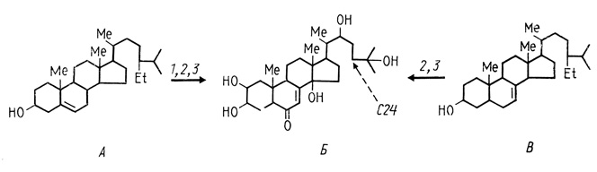 . 24.        (schottenol)     (sitosterol) [Harborne, 1982]  - ;  -   α-;  - ; : 1 -    Δ5 → Δ7; 2 -    24; 3 - 