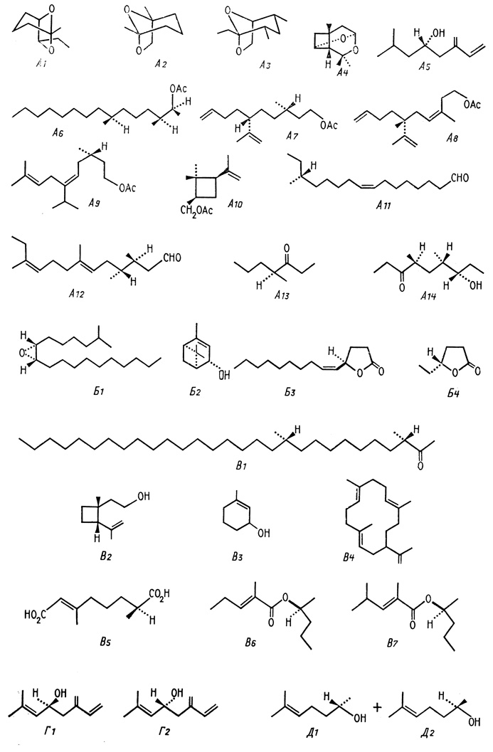 . 28.        ( . )  : 1 - - (exo-brevicomin); 2 -  (frontalin); 3 - α- (α-multistriatin); 4 -  (lineatin); 5 -  (ipsenol); 6 -    (pine sawfly, Diprion pini); 7,8 -     (California red scale, Aonidiella aurantii); 9 -     (yellow scale, Aonidiella citrina); 10 -  Planococcus citri; ll -  (trogodermal); 12 -  (faranal); 13 -    Atta- texana; 14 -  (serricornin); : 1 -  (disparlure); 2 - - (cis-verbenol);  -    (Japanese beetle, Popillia japonicaR 4 -  Trogoderma glabrum; : 1 -  - (Herman cockroach Blattella germanica); 2 -  (grandisol); 3 -  (seudenol); 4 - - (neocembrene-A); 5 -  (callosobruchusic)  ()  , erectin); 6--1 (dominicalure-1); 7 - -2 (Rhizopertha dominica); : l - (+)- (ipsdienol); 2 - (-)-; : 1 - (+)-  (sulcatol); 2 - (-)-  (Onathotrichus oulcatus)