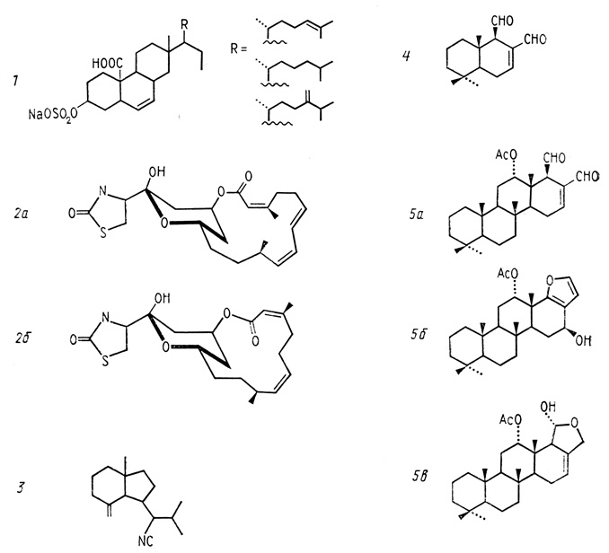 . 30.     1 -  (sterol sulphates)   Toxadocia zumi (    ): 2 -  (latrunculins)   Latruncula magnifica (  ): 2 -  , 26 -  ; 3 - --1 (axisonitrile-1) -  (isocyanosesquiterpene)   Phyllidia pulitzeri    -  Axinella cannabina (  ): 4 -  (polygodial)    Dendrodoris limbata (  ); 5 -   Cacospongia mollior: 5 -  (scalaradial), 5 -  (furoscalarol),      Glossodoris tricolor,     , 5 -  (deoxoscalarin),    ;       [Nakatsu et al., 1983; Groweiss et al., 1983;  .]