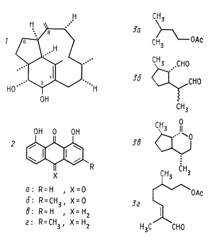 . 31.    [Chuan et al., 1983; Jafson et al., 1983]  1 - -1 (15),8 (19)- -2β, 3α- (trinervita- 1 (15),8(19)-dien-2β, 3α-diol),         Hos- pitalitermes umbrinus; 2 -     Pyrrhaita luteola; 2, 26 -  (anthra- quinones), 2, 2 -  anthrones); 3 -     Creophilus maxillosus: 3 -  (isoamyl acetate), 3 -  (iridodial), 3 - -  (dihydronepetalacto- ), 3 - ()-8- (oxocitronellyl acetate)