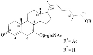 . 33.   - -1  - 2  Pardachirus marmoratus,   [Tachibana et al., 1984]