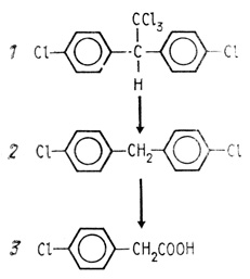 . 42.         Aerobacter  Hydrogenomonas 1 - ; 2 - ; 3 -  .        ,  .        ,     